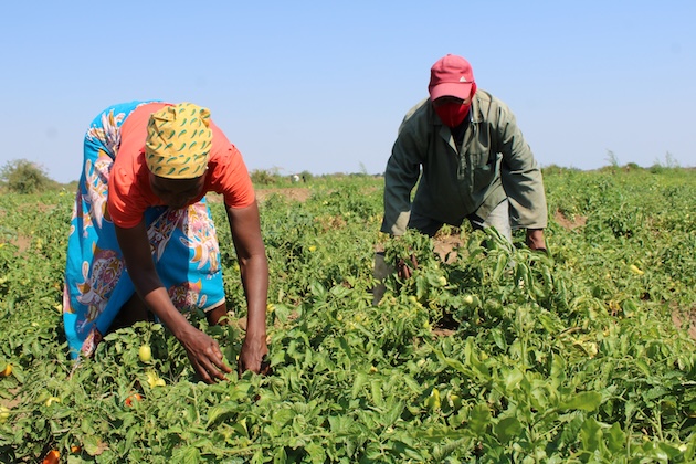 Workers Helping Feed the World but Starved of Dignity