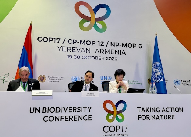 New Biodiversity Pledges Emerge at COP17, But Funding Gap Persists