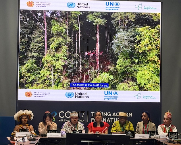 Indigenous leaders from Brazil, DRC, Indonesia, Gambia, Peru and Thailand who were announced as the Indigenous People’s Ambassadors for Primary Forests at COP17. Credit: Stella Paul/IPS