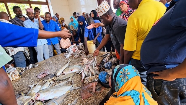 A buyer offers banknotes during a fish auction at Darajani Market in Zanzibar, where livelihoods depend on the marine life that environmental DNA (eDNA) surveys can help scientists monitor and protect. Credit: Kizito Makoye/IPS